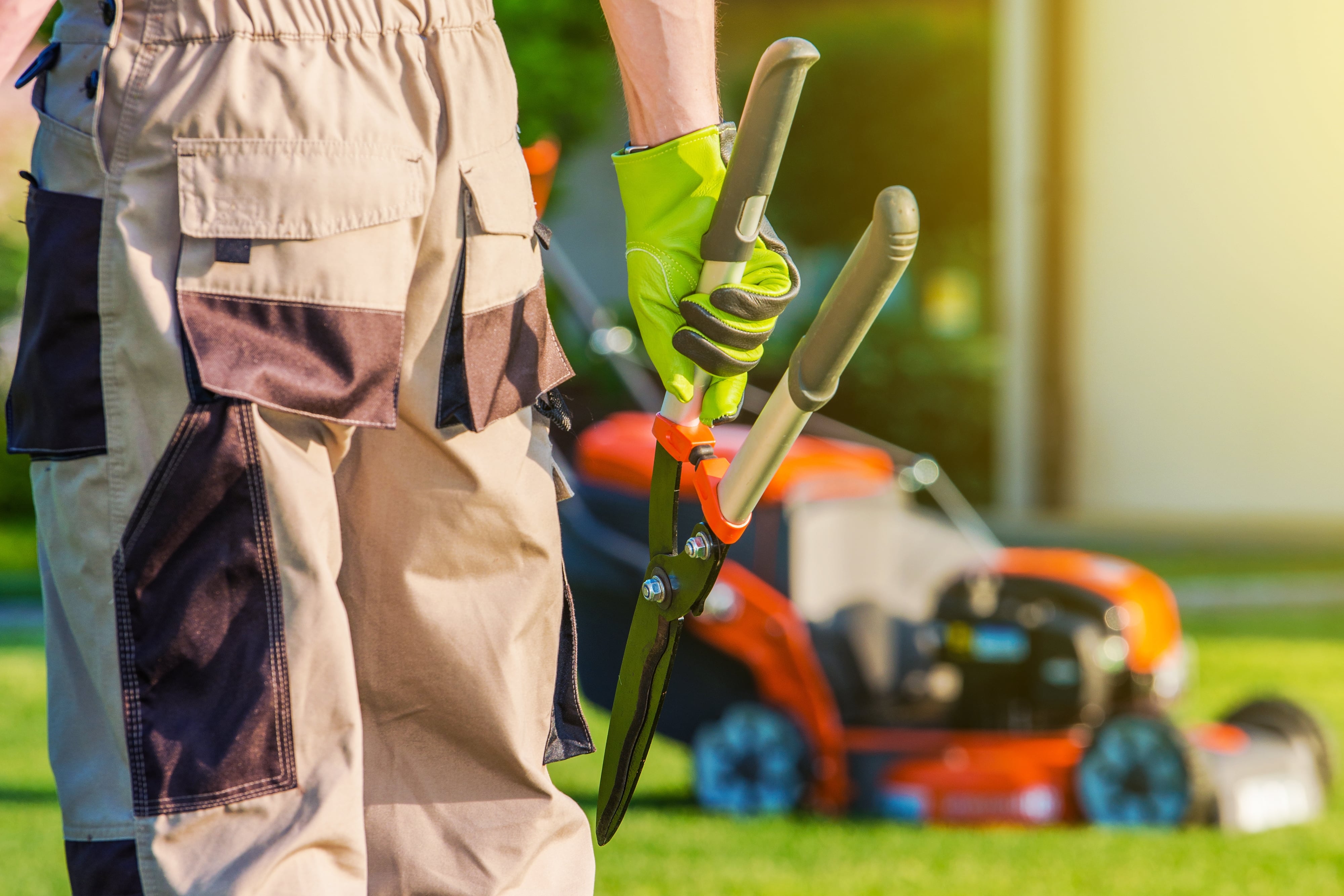 landscape design and installation expert holding pruners