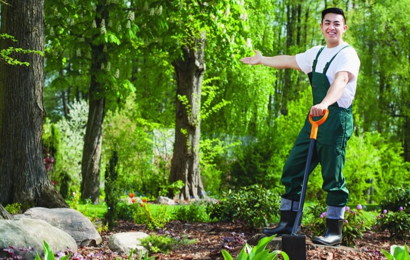 landscape design and installation, welcoming expert landscaper