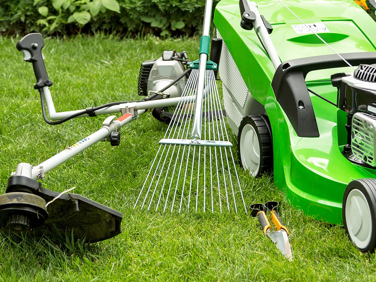 Regular Property Maintenance, choosing option for your dream landscape