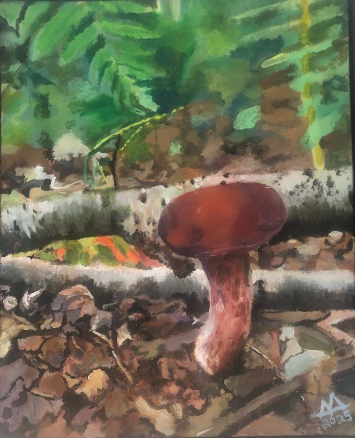 Acrylic painting of red bolette mushroom by Andrea Anderson Acrylic painting of red bolette mushroom by Andrea Anderson