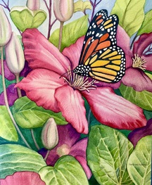 Monarch Butterfly. Watercolor on paper. Monarch Butterfly. Watercolor on paper.