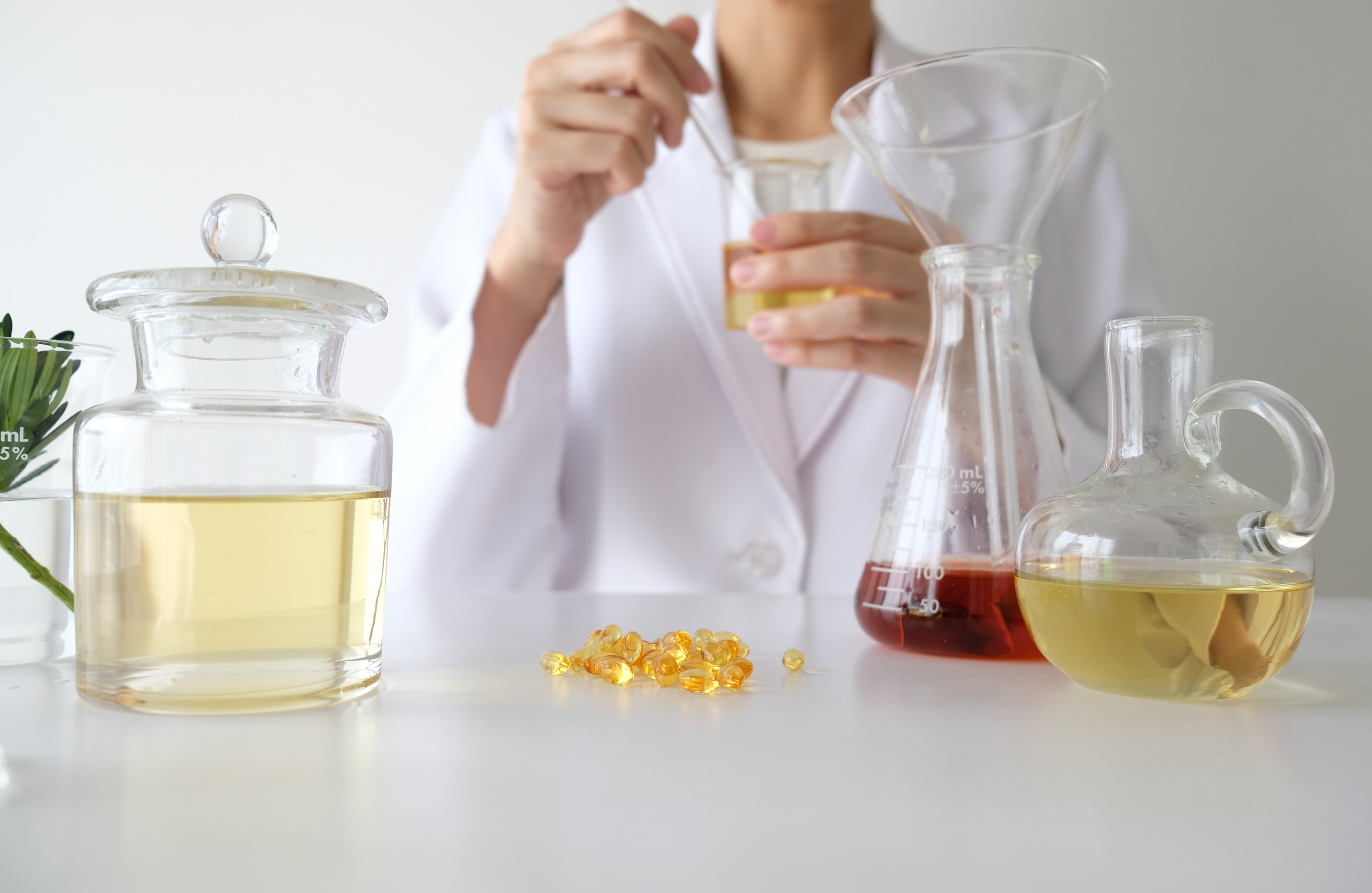 Talleres mensuales - Comida y Vida