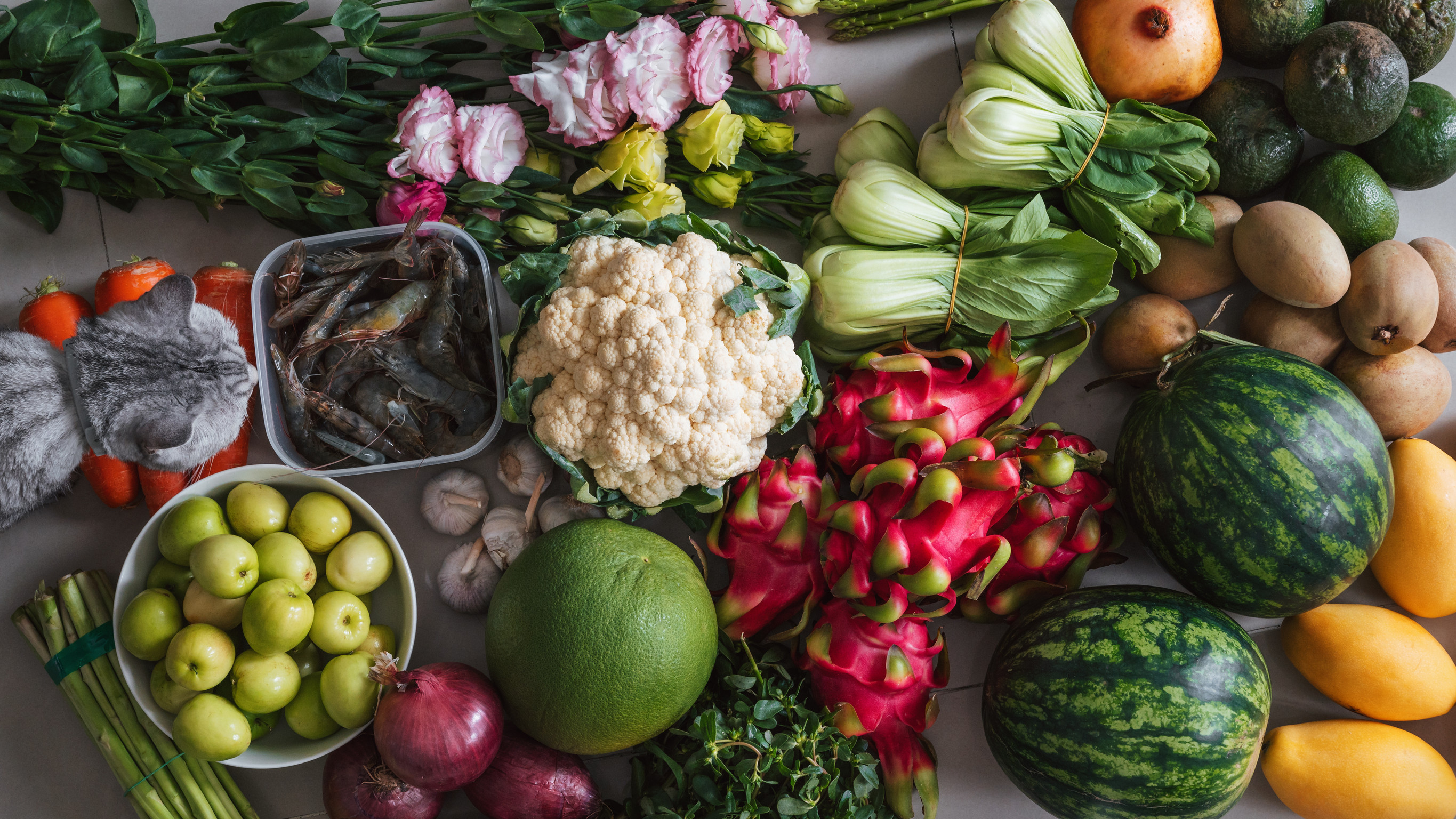 cultura alimentaria y entorno obesogénico