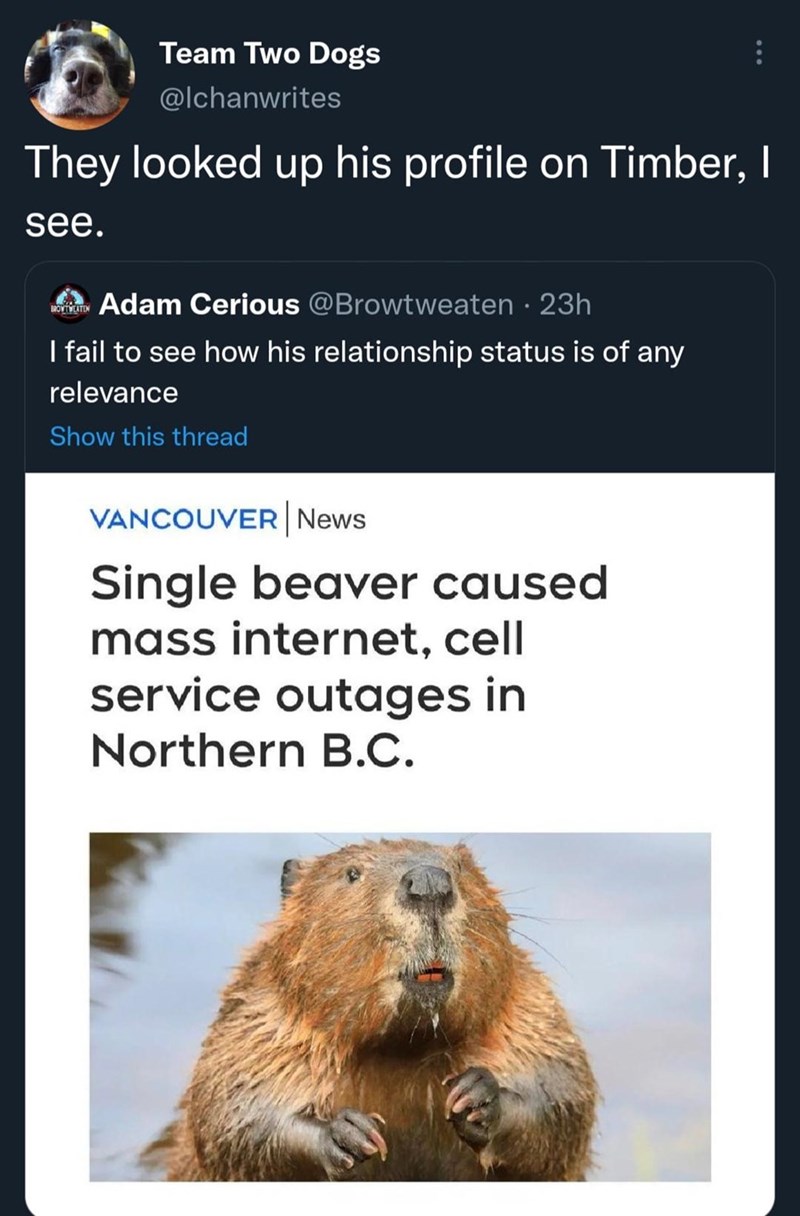Single Beaver