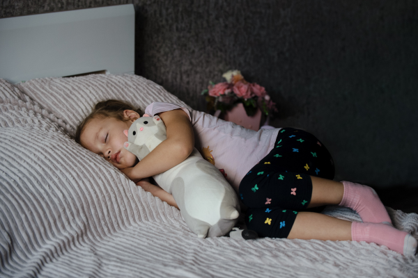 Toys or security blankets Toys or security blankets