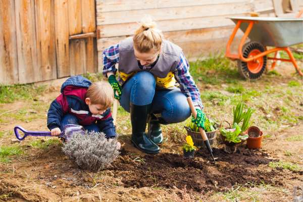Start with a small flower garden