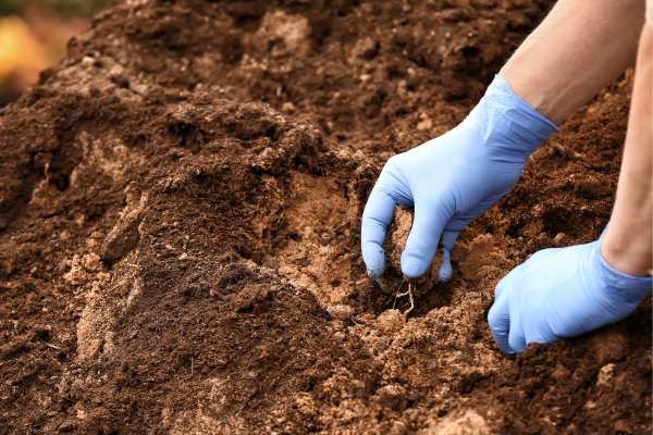 Test your soil pH