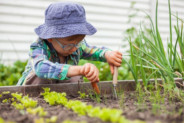 little boy in flower garden