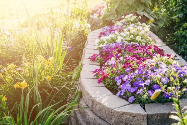 flower beds defined by bricks