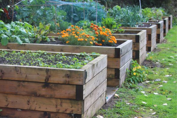 Raised bed planter for vegetables