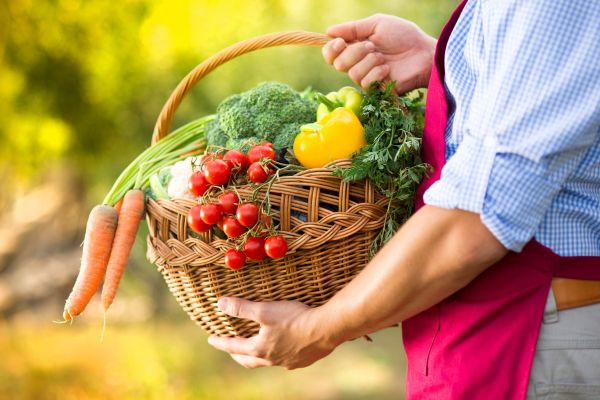 Garden Vegetables 