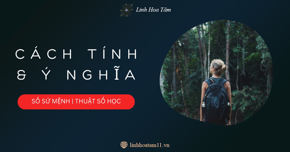 chỉ số sứ mệnh