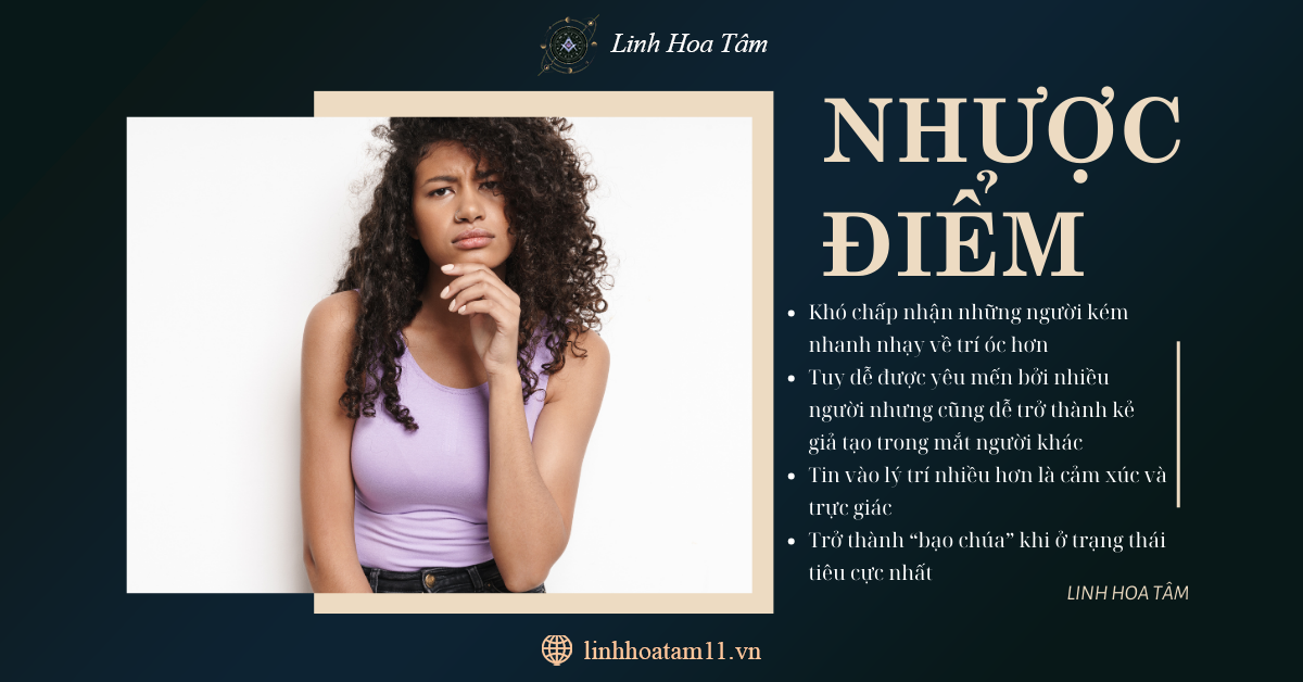 Nhược điểm con số chủ đạo 3