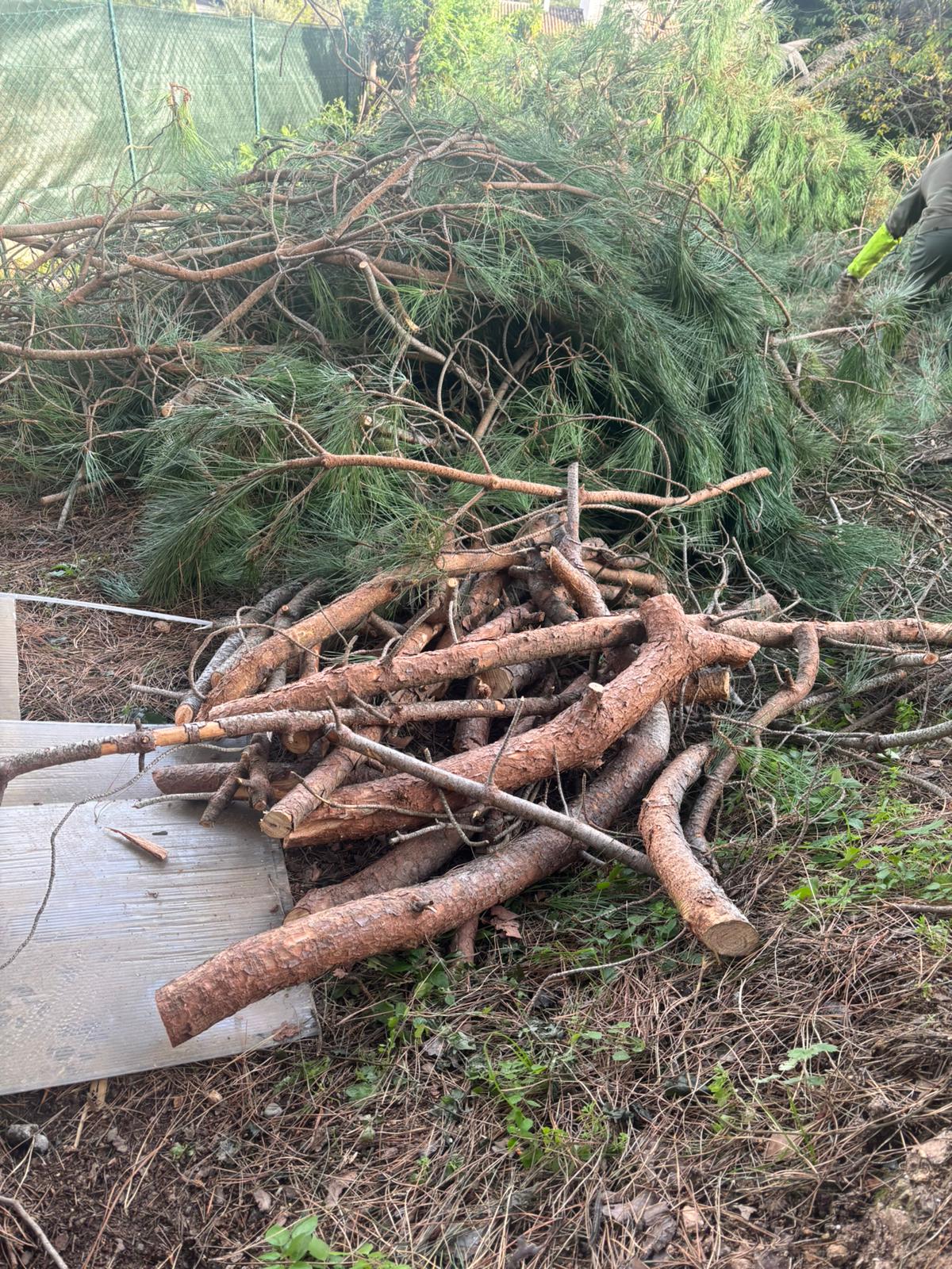 Pourquoi le débroussaillage est essentiel pour les jardins et terrains de Saint-Laurent du Var et ses environs ? Pourquoi le débroussaillage est essentiel pour les jardins et terrains de Saint-Laurent du Var et ses environs ?