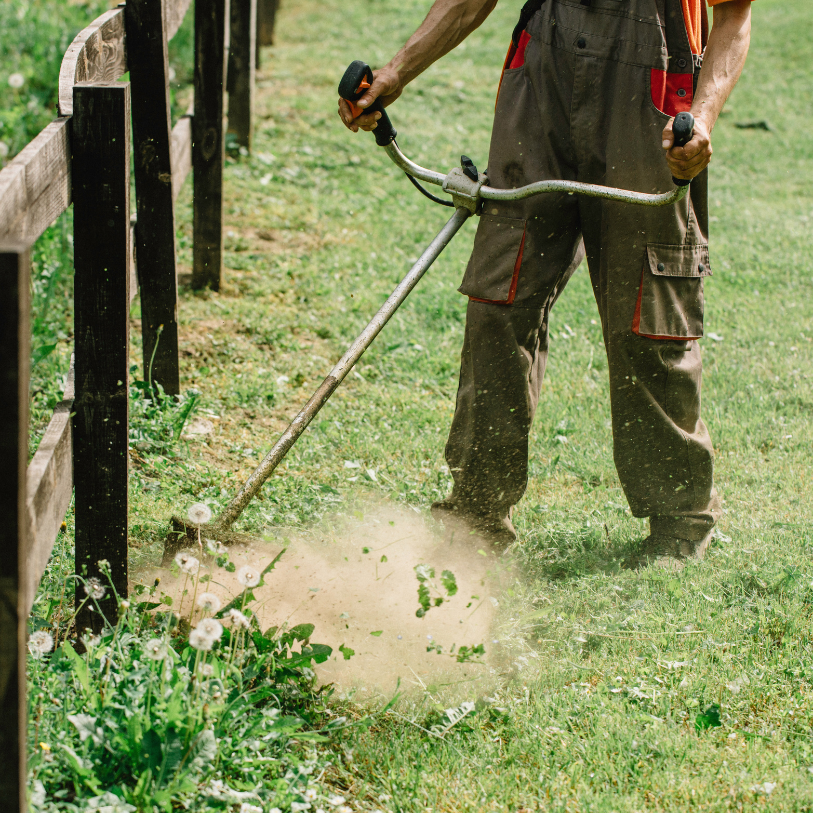 Les avantages d’un entretien régulier de votre jardin avec un paysagiste professionnel à Nice Les avantages d’un entretien régulier de votre jardin avec un paysagiste professionnel à Nice