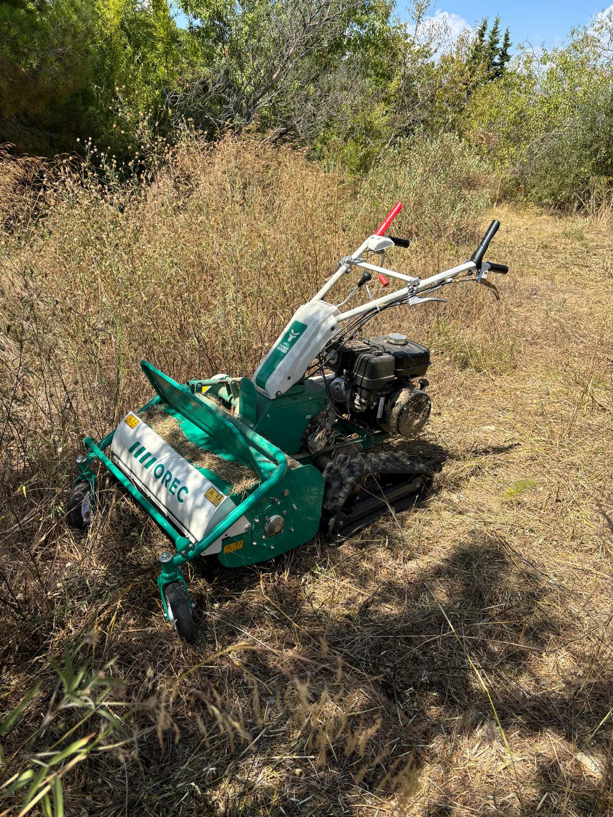 entretien jardin Antibes / débroussaillage Cagnes-sur-Mer / élagage Villeneuve-Loubet / paysagiste Antibes / débroussaillage professionnel Alpes-Maritimes / taille de haies Cagnes-sur-Mer / PACA Débroussaillage 06 / entretien écologique jardin Antibes / jardinier Villeneuve-Loubet / débroussaillage Alpes-Maritimes entretien jardin Antibes / débroussaillage Cagnes-sur-Mer / élagage Villeneuve-Loubet / paysagiste Antibes / débroussaillage professionnel Alpes-Maritimes / taille de haies Cagnes-sur-Mer / PACA Débroussaillage 06 / entretien écologique jardin Antibes / jardinier Villeneuve-Loubet / débroussaillage Alpes-Maritimes