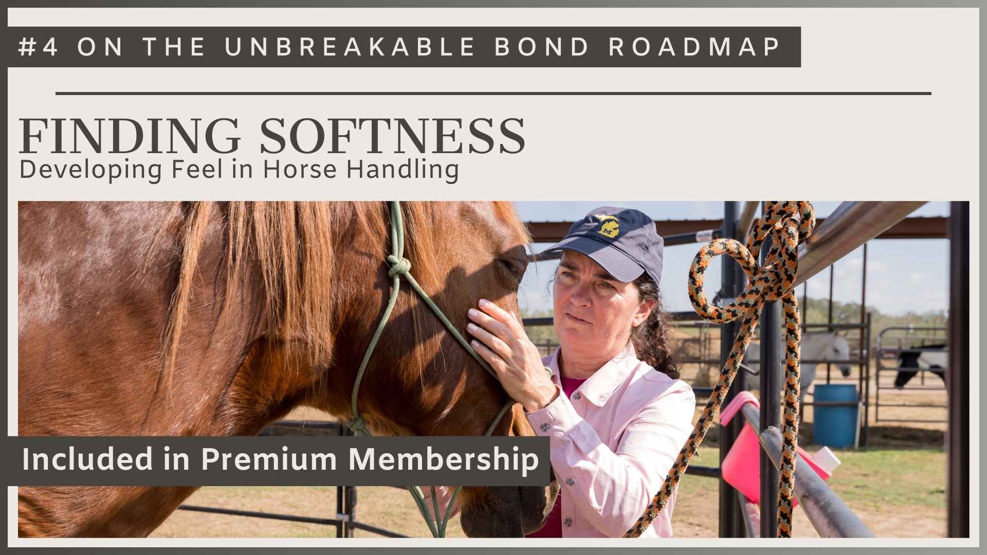 Finding Softness