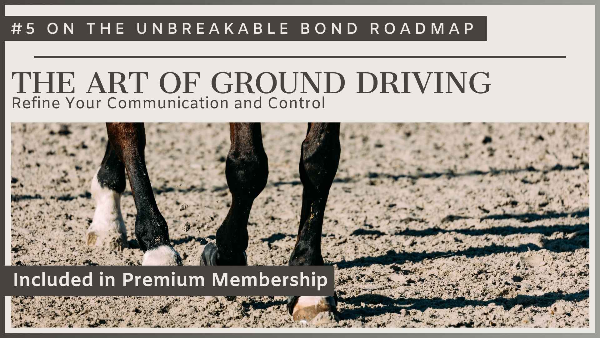 Art of Ground Driving
