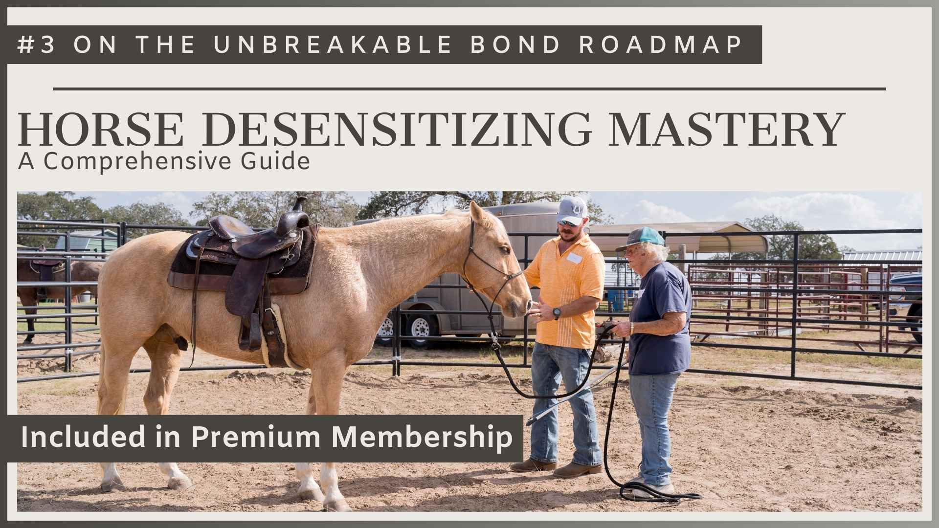 Horse Desensitizing Mastery