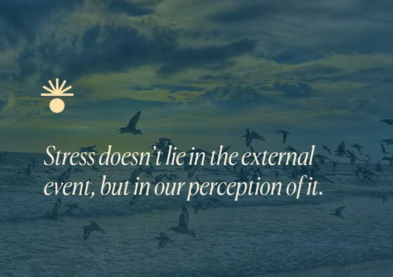 Beach background with seagulls. Forefront phrase that says Stress doesn't lie in the external event but in our perception of it.