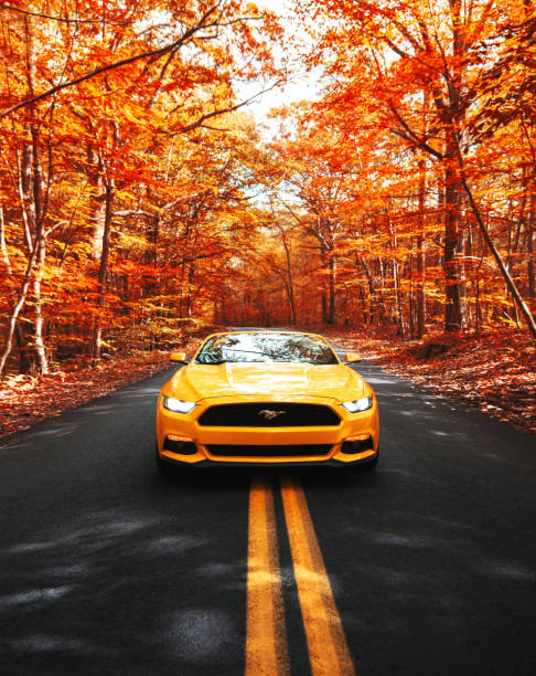 Bright orange sports car driving down the open road.
