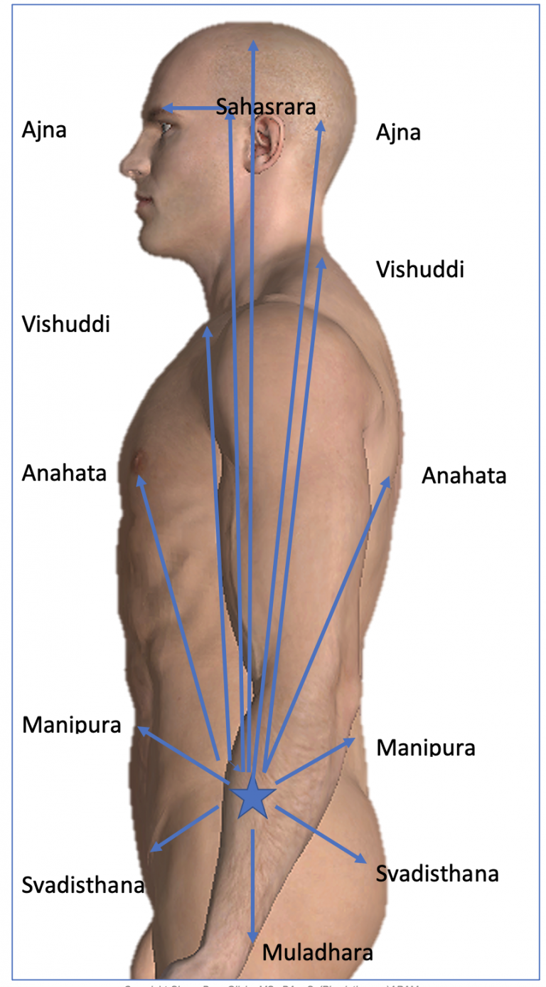  Muladhara