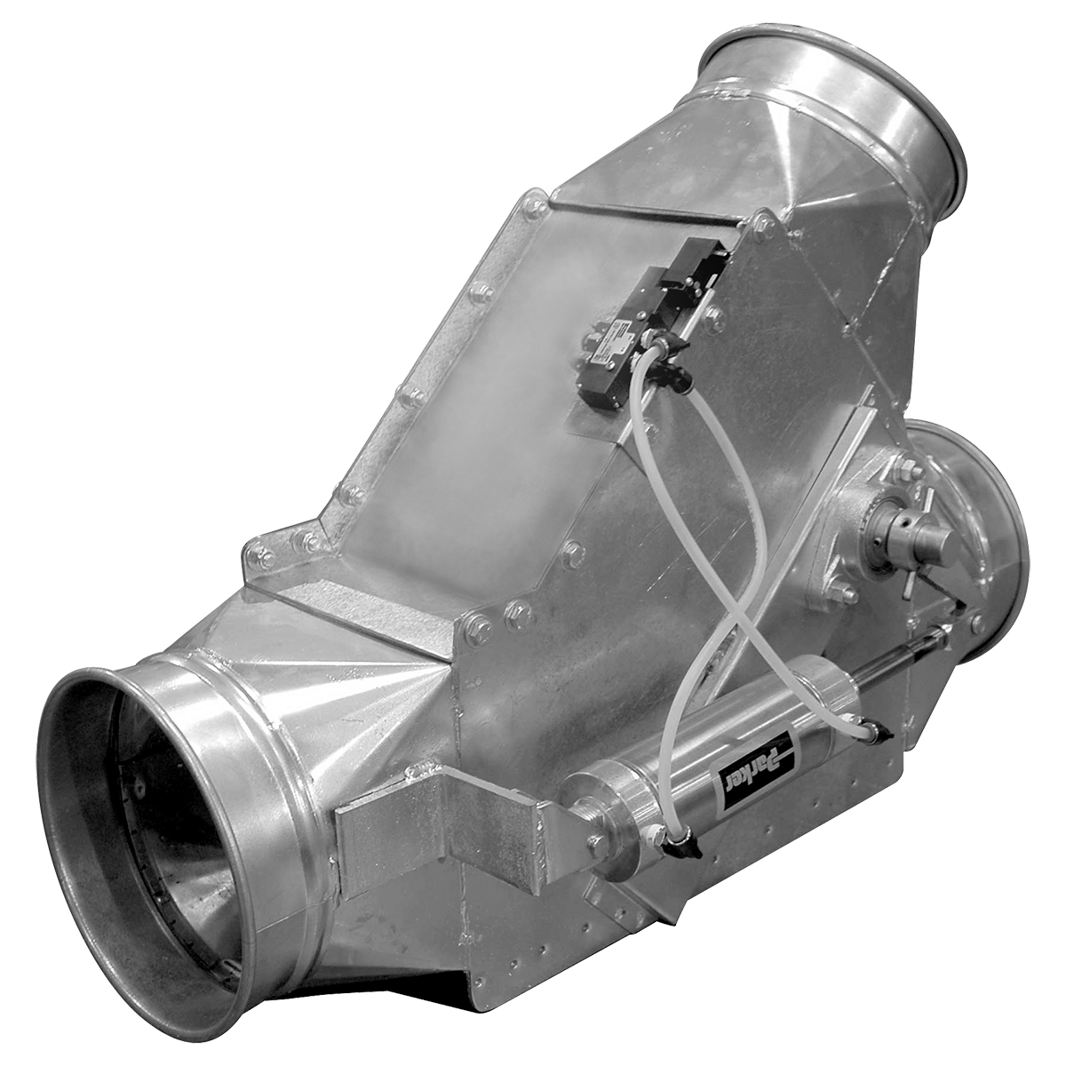collection-image