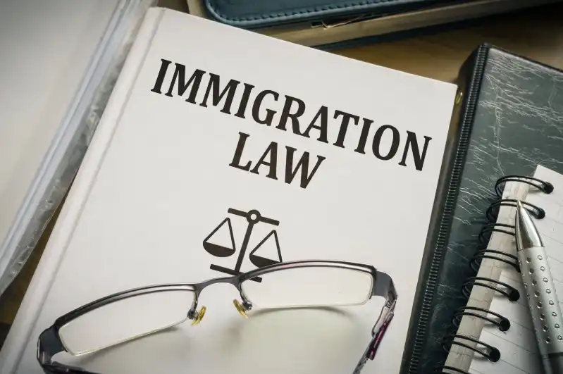 Immigration Lawyer