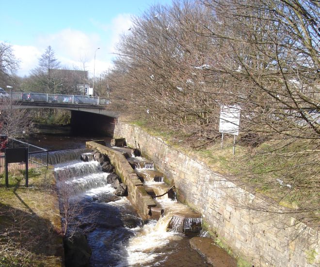 milngavie prego newsletter blog