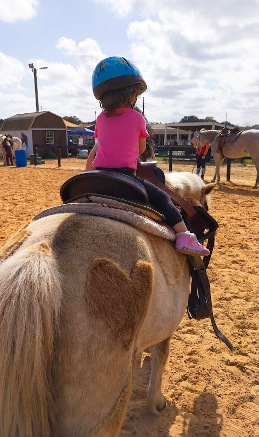 A toddler riding a horse at DreamCatcher Horse Rescue A toddler riding a horse at DreamCatcher Horse Rescue