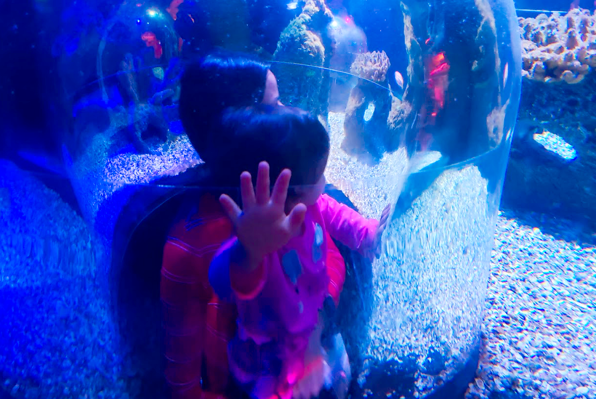 A woman and a toddler in a ocean tunnel in Sea Life Orlando A woman and a toddler in a ocean tunnel in Sea Life Orlando