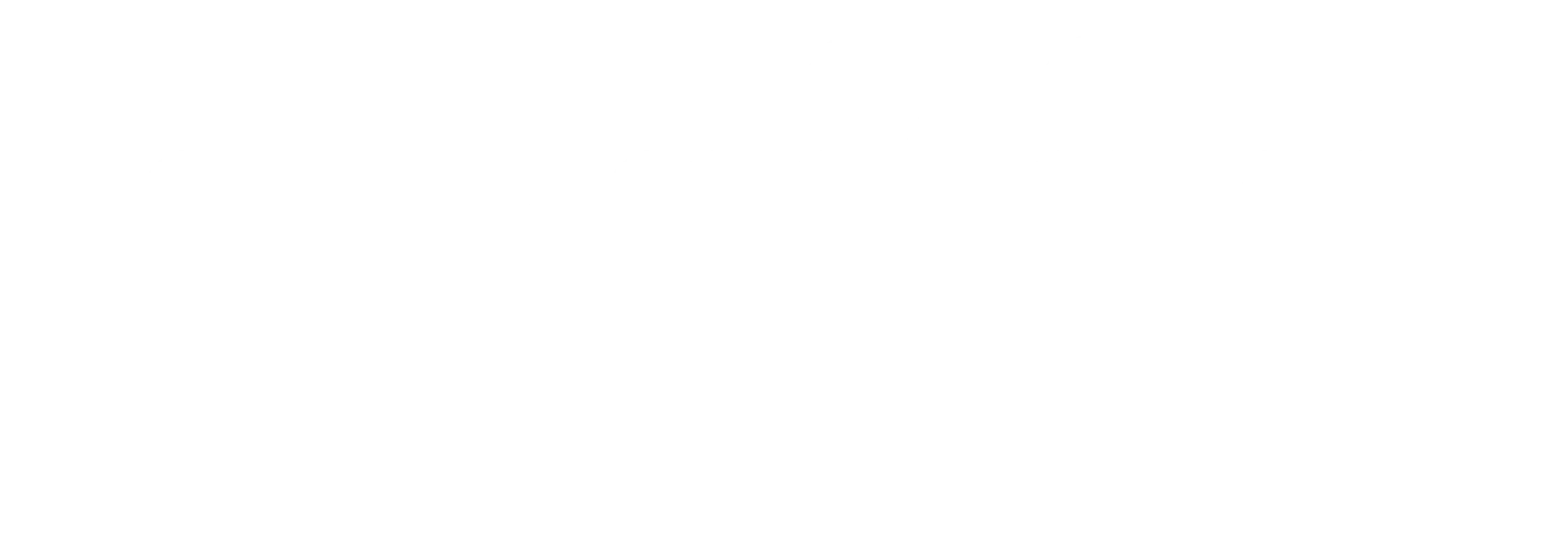 Partner Logo 2