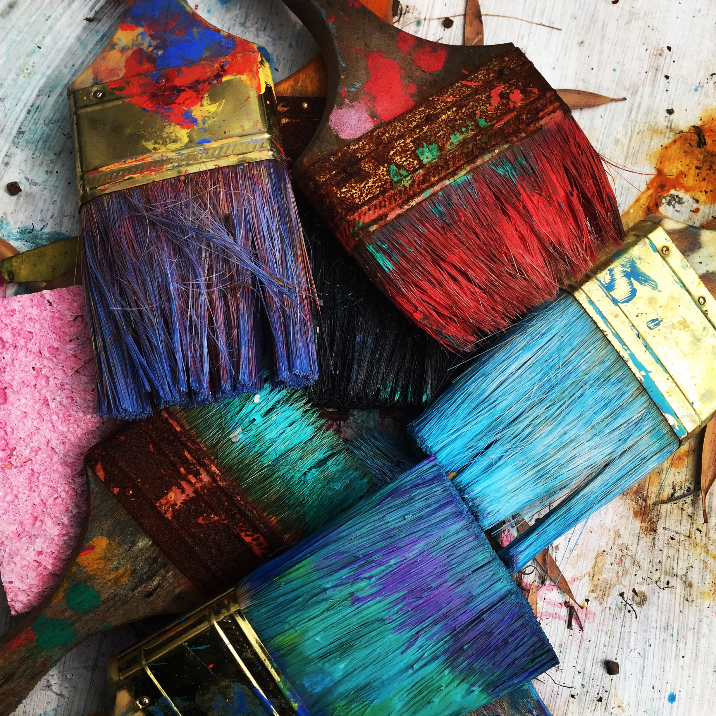 Pink Paintbrushes