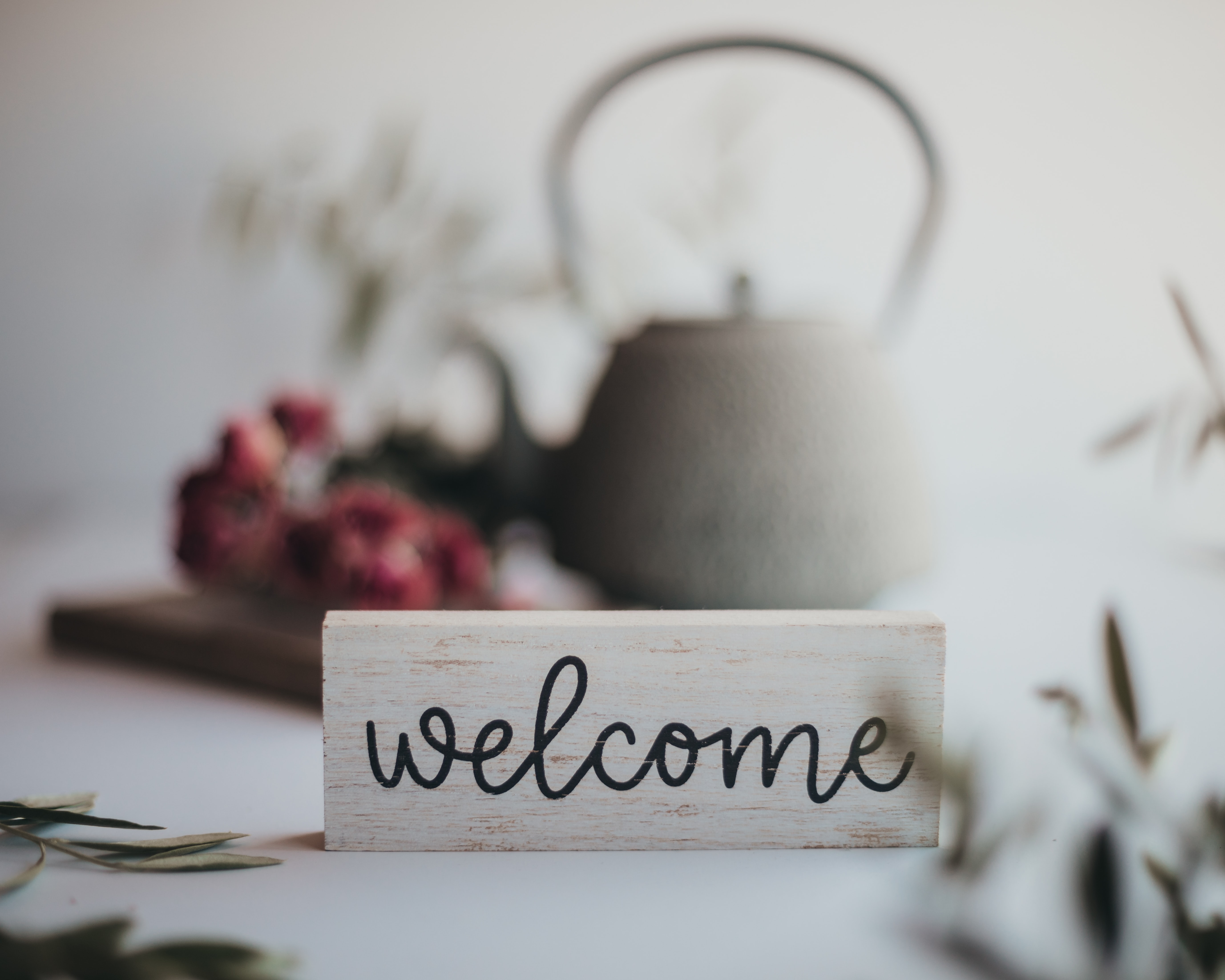Welcome to our Blog