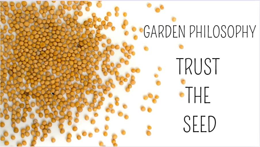 Simple graphic of pea seeds ready to be planted, symbolizing trust in the natural growth process and a reminder that it all starts with a seed.
