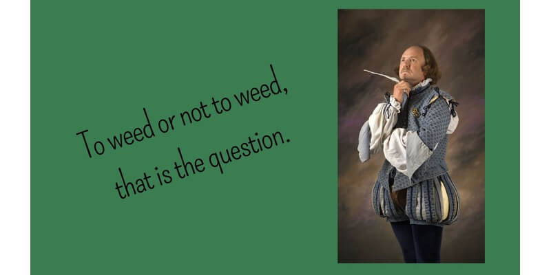 Illustration of William Shakespeare with a gardening twist, asking you to rethink weeds in your garden and using the winter reading list to explore this question