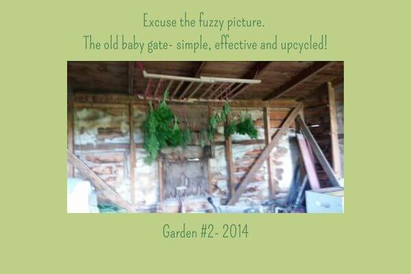 Example of DIY drying rack from repurposed baby gate for drying herbs. 