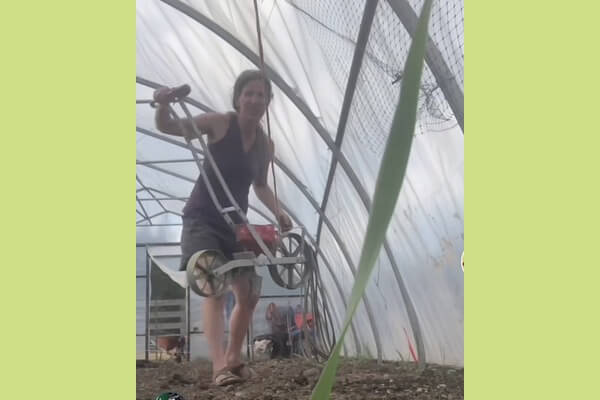Gardener planting seeds using a vintage seeding machine, showcasing a simple and traditional gardening approach.