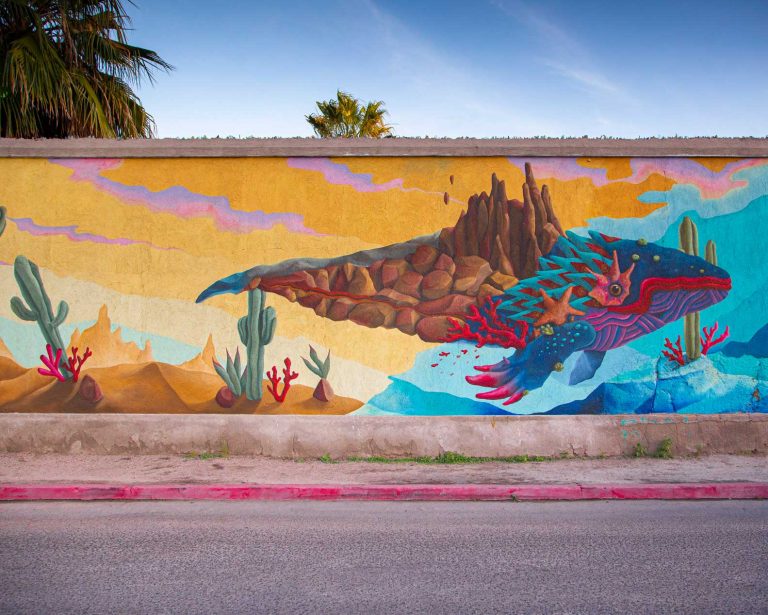 La Paz BCS beautiful grafitti La Paz BCS beautiful grafitti