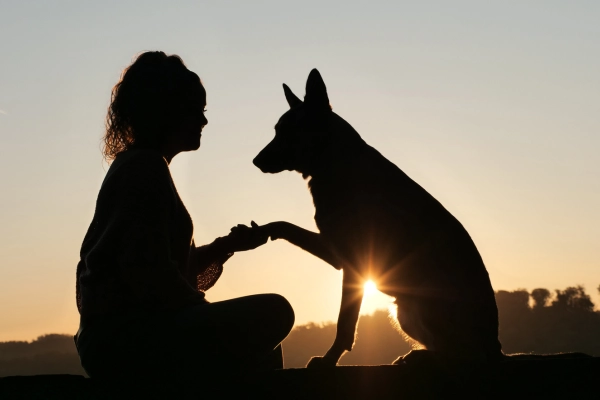 Human Animal Bond Human Animal Bond