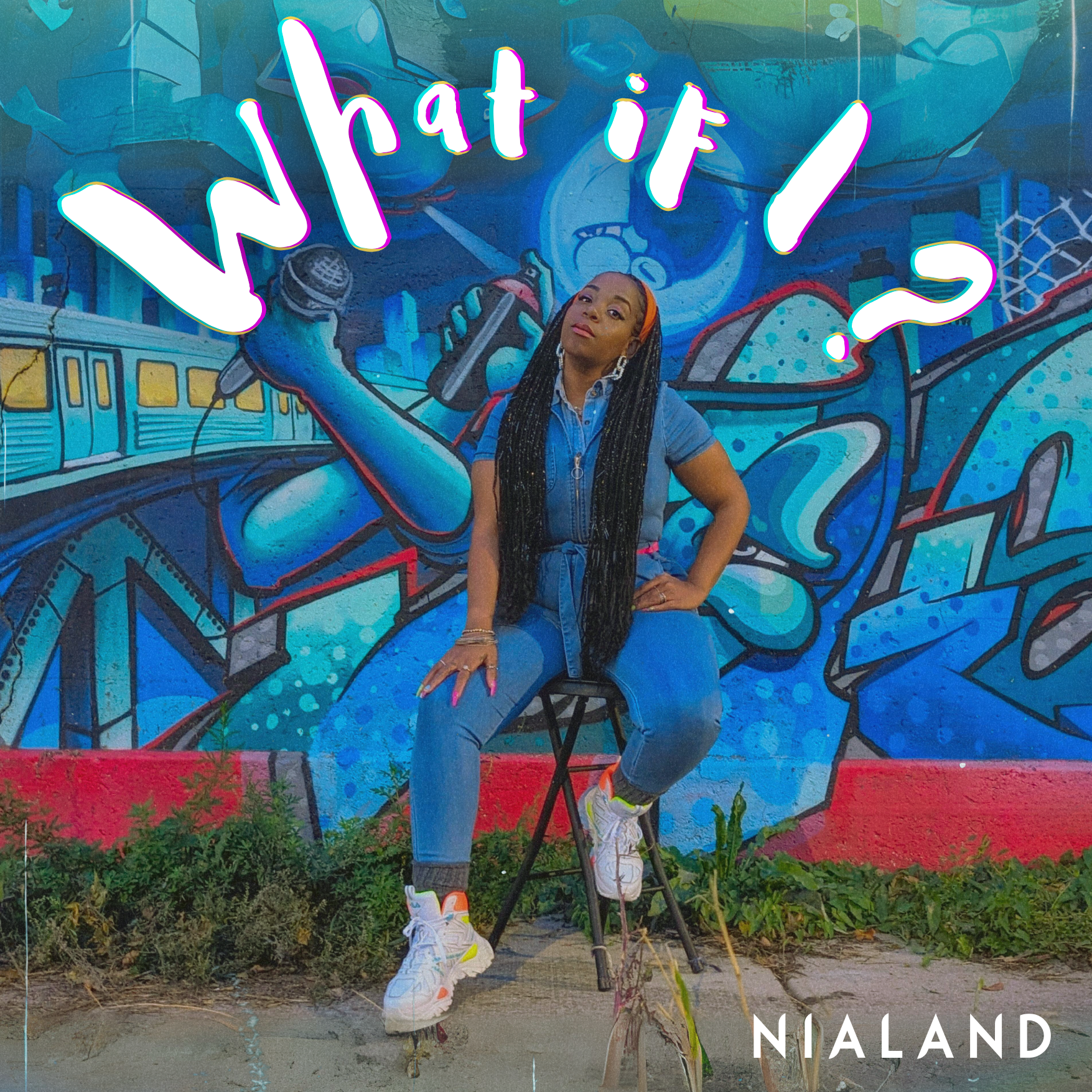 what if i cover art by nialand