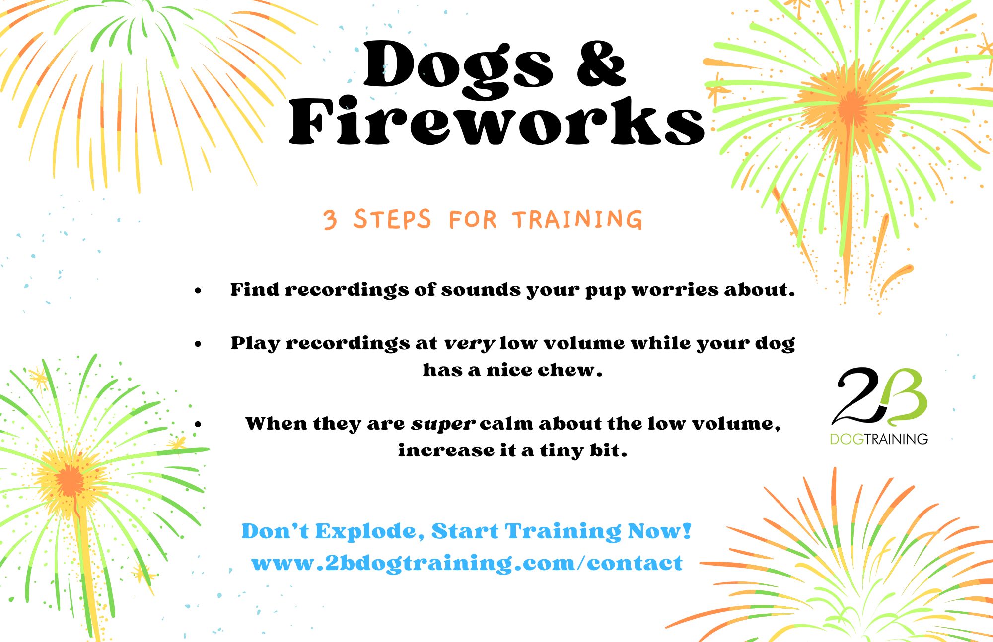 3 training tips for helping dogs feel calmer about fireworks and other noises.