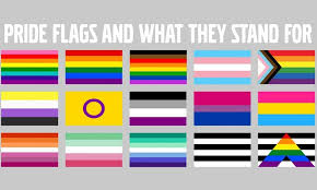 A gray background with images of all the different pride flags.