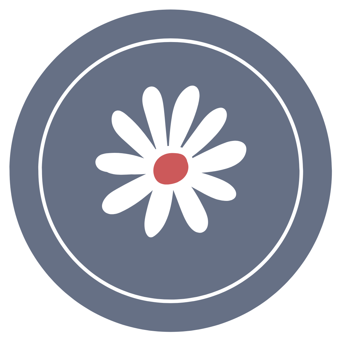 Blue daisy Blue daisy