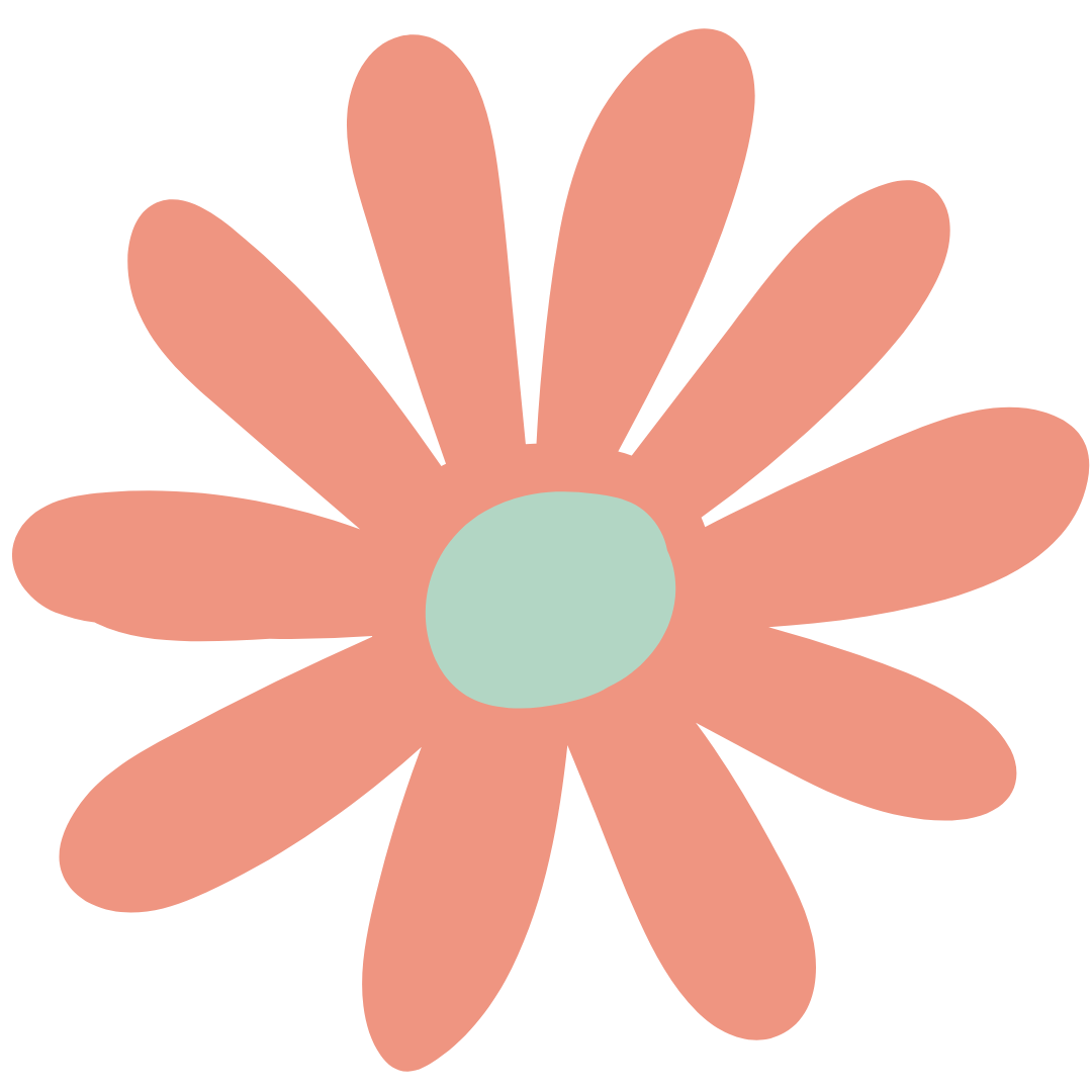 Pink daisy Pink daisy