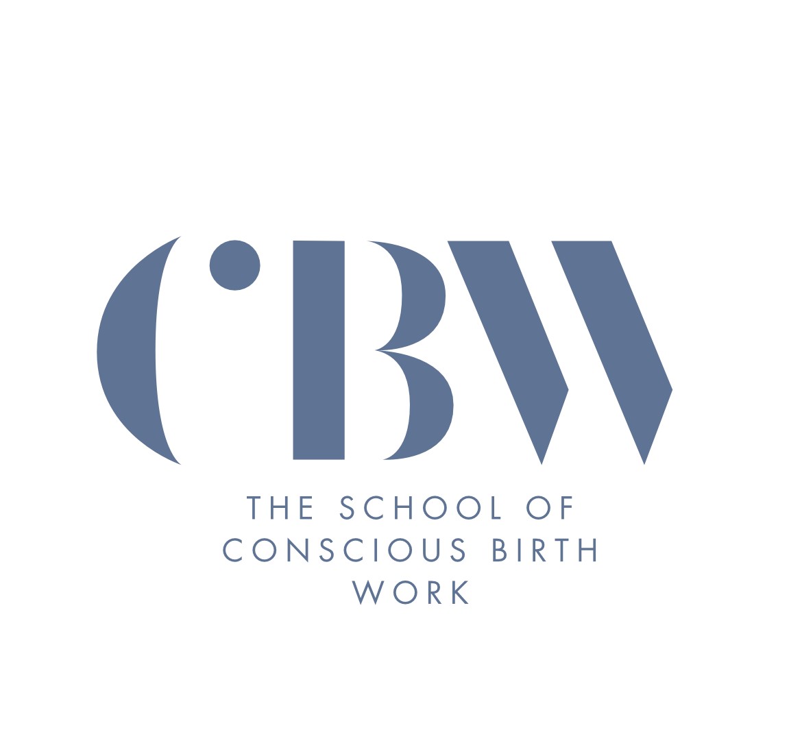 (4) Recurring Payment Plan : The Complete Guide to Conscious Birth Work