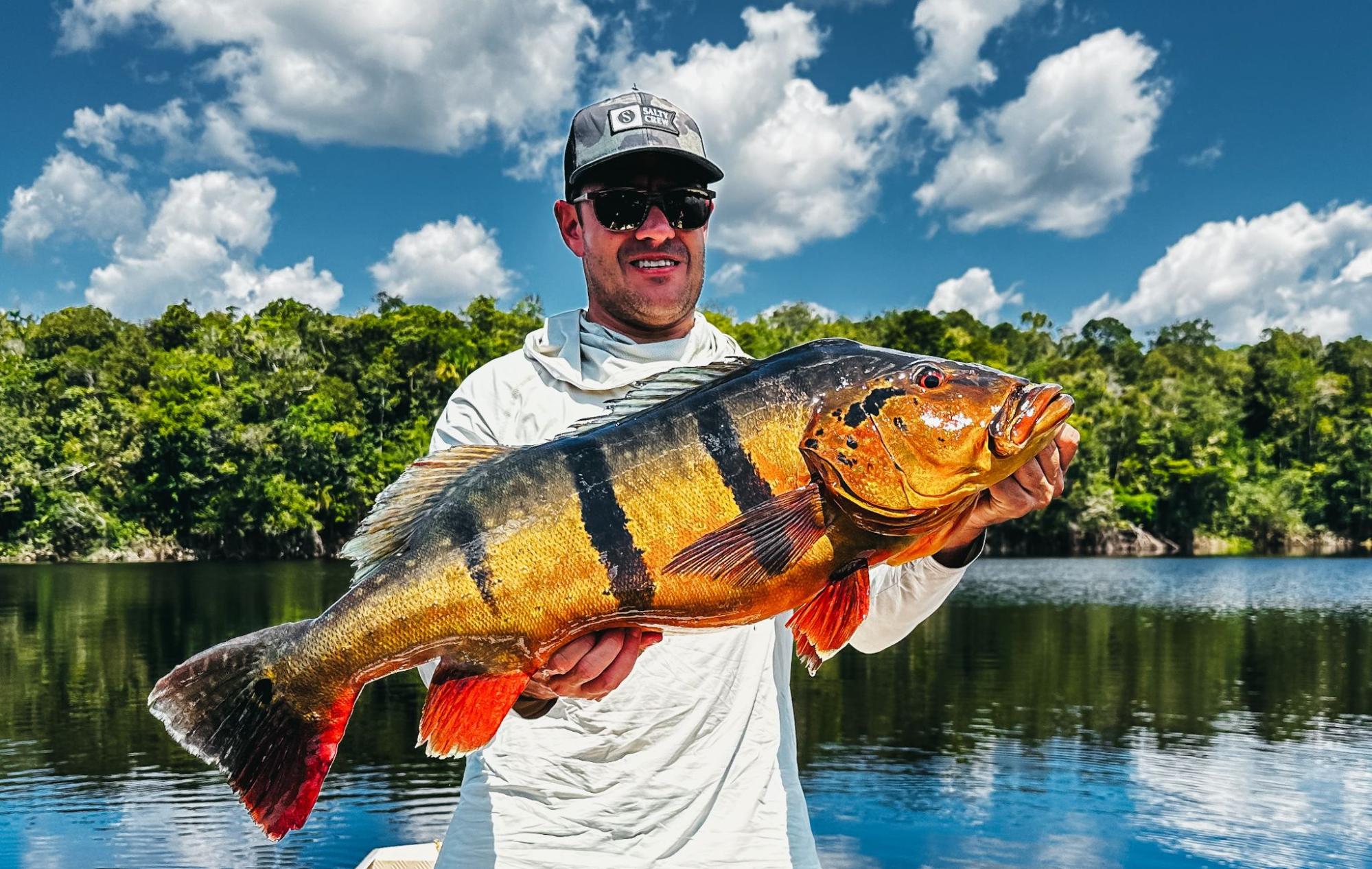 Amazon Peacock Bass Amazon Peacock Bass