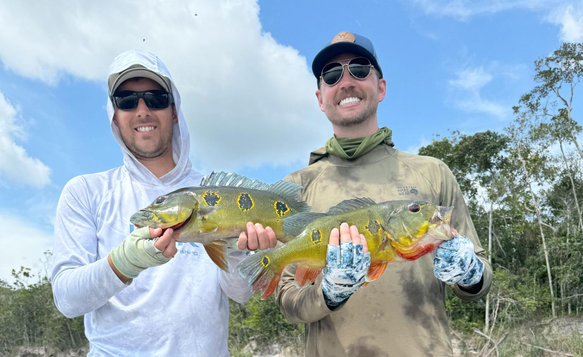 Butterfly Peacock Bass Amazon Fishing Butterfly Peacock Bass Amazon Fishing