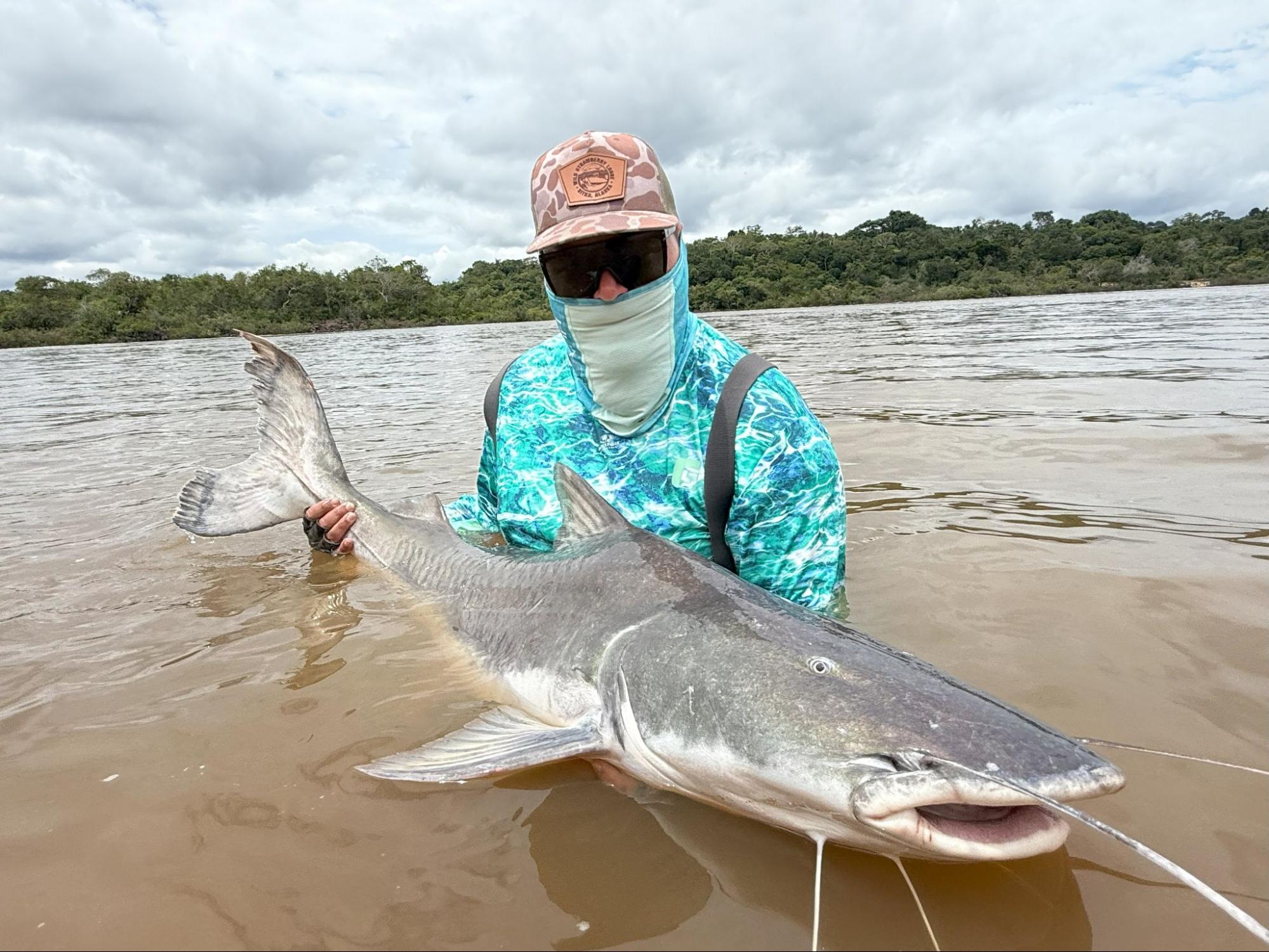 Amazon Catfish
