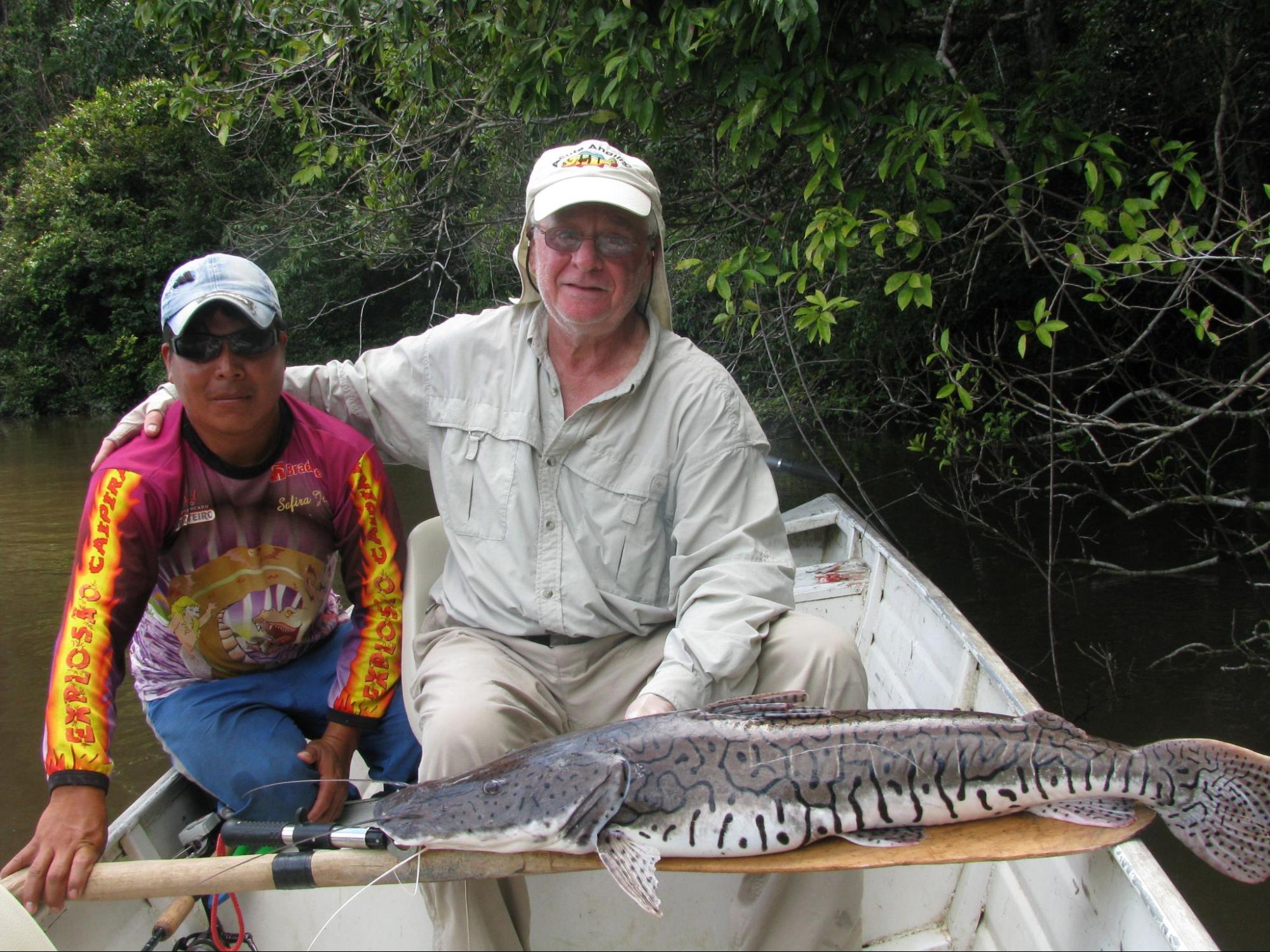 tiger catfish